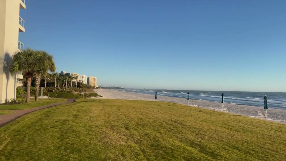 Late-Night Courtyard View